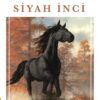 Sesli Kitap "Siyah İnci"