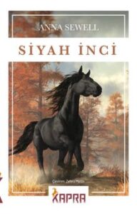 Sesli Kitap "Siyah İnci"