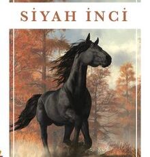 Sesli Kitap "Siyah İnci"