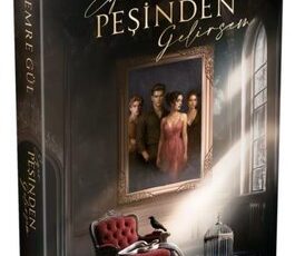 Emre Gül «Eğer Peşinden Gelirsem 1»